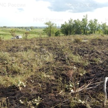 Площадь - 10 000 «квадратов»: виновник пожара под Кувандыком отделался пятитысячным штрафом