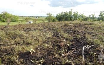 Площадь - 10 000 «квадратов»: виновник пожара под Кувандыком отделался пятитысячным штрафом