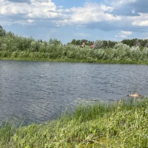 Под Оренбургом из Коровьего озера водолазы достали тело мужчины (18+)