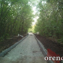 Бороться с сорной растительностью в Оренбурге будет челябинский парень