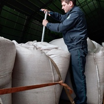 Из Оренбургской области пытались вывезти заражённую пшеницу