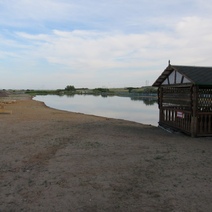 Под Гаем в частном пруду утонул мужчина (18+)