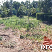 Некогда цветущий Оренбург превращается в запущенный колхоз