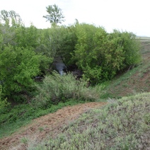 Пенсионер из Акбулакского района не хотел сидеть 15 лет за убийство подростка (18+)