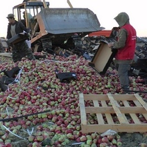 Сжечь или раздать? В Оренбургской области за три года уничтожили 270 кг санкционной продукции