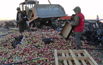 Сжечь или раздать? В Оренбургской области за три года уничтожили 270 кг санкционной продукции