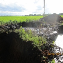 В Пономаревском районе погибли посевы подсолнечника из-за порыва нефтепровода