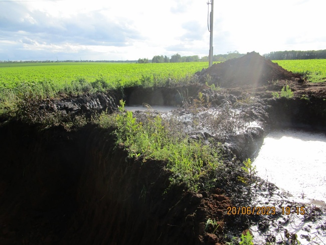 Прокуратура озвучила сумму ущерба от разлива нефти в Пономаревском районе