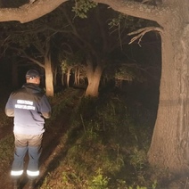 В Оренбургском районе девушка заблудилась в лесу