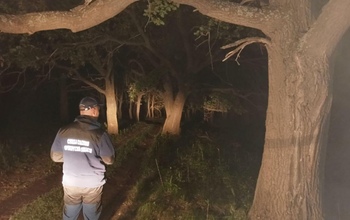 В Оренбургском районе девушка заблудилась в лесу