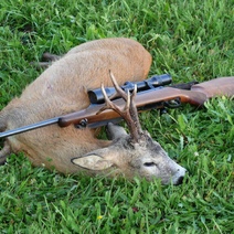 В Переволоцком районе задержали браконьера с убитой косулей (18+)