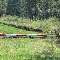 Оренбуржцев ограничили в посещении Бузулукского бора