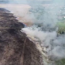 В Оренбургском районе произошел крупный природный пожар
