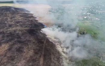 В Оренбургском районе произошел крупный природный пожар