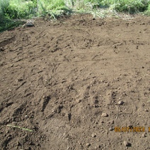 В Бугурусланском районе произошел разлив нефтепродуктов