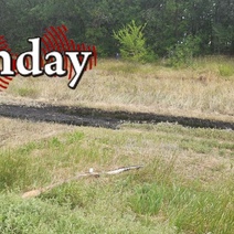 Стала известна площадь участка в Оренбургском районе, пострадавшего от разлитого битума