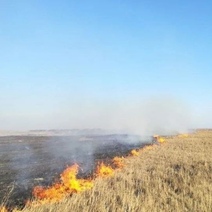 К тушению крупного степного пожара под Акбулаком привлечено уже 76 человек