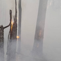 Молния едва не спалила «Бузулукский бор»