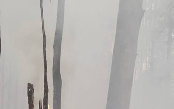 Молния едва не спалила «Бузулукский бор»