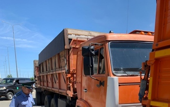Из Оренбуржья готовили отправку более 65 тонн семечек с живым белком