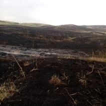 Трактористов из Матвеевского района второй день подряд преследует злой рок