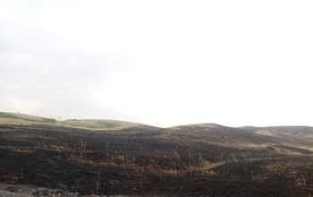 Трактористов из Матвеевского района второй день подряд преследует злой рок