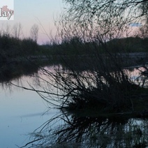 Медь и цинк: в Медногорске суд рассмотрит дело о загрязнении реки Блява