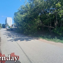 «Здесь их 20 голов бегает»: в Оренбурге бродячие собаки чуть не разорвали 7-летнюю девочку (18+)