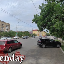 Помидоры, дурманящие растения… Что еще расцветет на газонах Оренбурга?