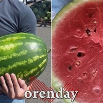 Советы оренбуржцам, когда хочется арбуз или дыньку: брать сейчас или подождать