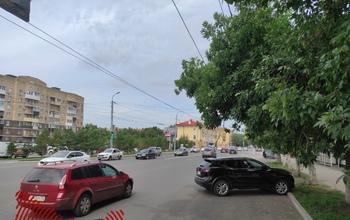 Помидоры, дурманящие растения… Что еще расцветет на газонах Оренбурга?