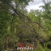 Оренбуржцы опасаются, что из-за неубранного валежника может полыхнуть детский лагерь