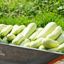Местные овощи в Оренбурге стали в разы дороже