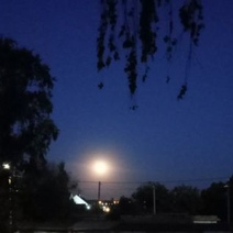 Оренбуржцы наблюдают суперлуние