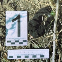 В расследовании дела по убийству и изнасилованию у 