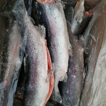 На госгранице в Оренбуржье задержали 18 тонн форели