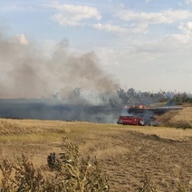 В Оренбургской области в два раза выросло число степных пожаров