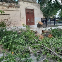 В Оренбурге при благоустройстве нового сквера снова летят щепки