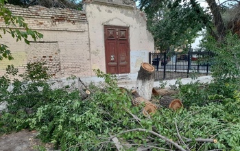 В Оренбурге при благоустройстве нового сквера снова летят щепки