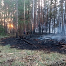 Один и тот же поезд стал причиной сразу четырёх пожаров в «Бузулукском бору»