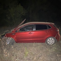 В Оренбургской области «КИА Рио» слетел в кювет после наезда на кабана (18+)