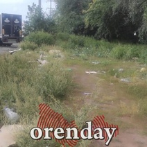 В Оренбурге дальнобойщики загадили всю лесопосадку