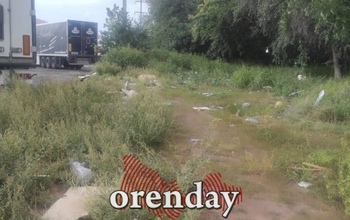В Оренбурге дальнобойщики загадили всю лесопосадку