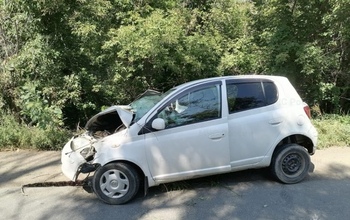 В Оренбурге автомобиль влетел в дерево: пострадали дети