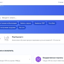 В Оренбурге возбуждено уголовное дело по факту взлома профиля на «Госуслугах»