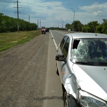 Пенсионерка из Оренбурга, насмерть сбившая на трассе дорожника, заплатит компенсацию (18+)