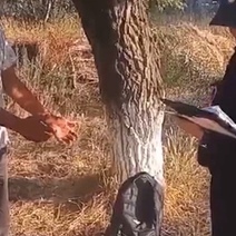 В Оренбургской области мужчина украл рюкзак со школьными вещами