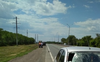 Пенсионерка из Оренбурга, насмерть сбившая на трассе дорожника, заплатит компенсацию (18+)