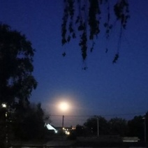 Увидят ли оренбуржцы 