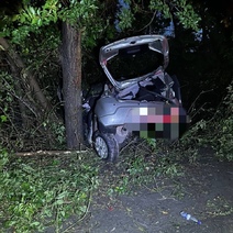 В Орске погибла женщина, въехавшая на авто в дерево (18+) 